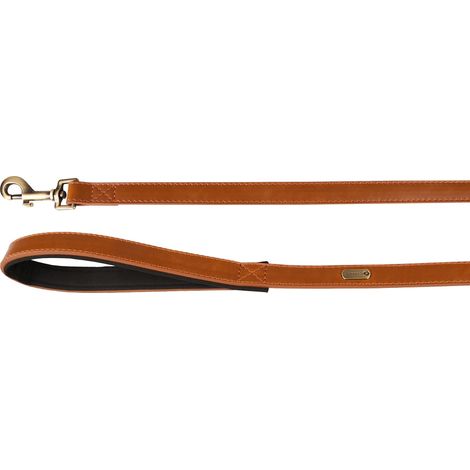 Laisse 130CM 20MM