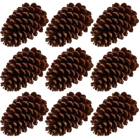 Lot de 9 Pommes de Pin Naturelles Décoratives en Marron, Véritables Pommes de Pin Recyclables pour Bouquets et Décoration de Bureau (1/5)