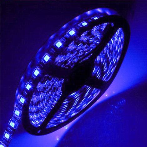 Striscia led 12v 60 led/mt IP65 colore luce blu (1/4)