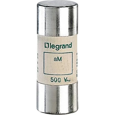 Legrand 015096 Zylindrische Patrone – aM – 22 x 58 mm 100 A (1/2)