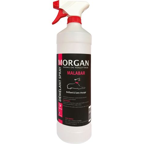 Spray démêlant senteur Malabar Morgan : 1L