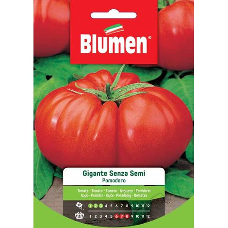SEMI DI POMODORO GIGANTE SENZA SEMI BLUMEN