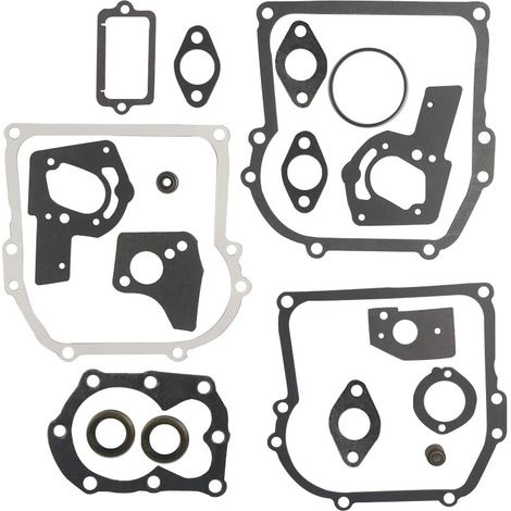 Kit de joints pour moteur de tracteur tondeuse 494550 495605 (1/5)