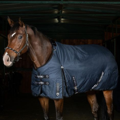 Misura 155 cm EQUESTRO Coperta da paddock Alberta in tessuto antistrappo CAVALLO (1/5)