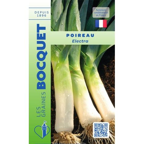 Poireau Electra - 3g