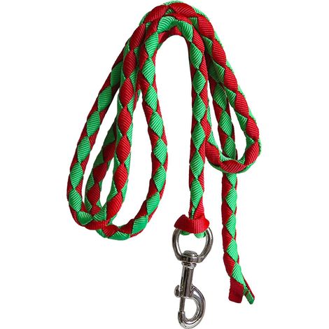 Longe pour cheval avec mousqueton, corde de laisse résistante, corde tressée (1/5)