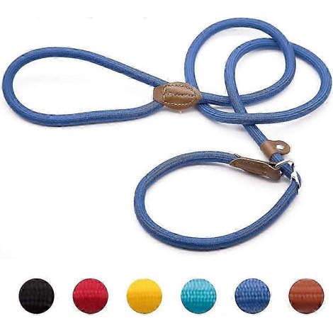 Laisse de dressage pour chien, collier de dressage, laisse lasso pour chien, laisse en cuir, laisse éducative (1/5)