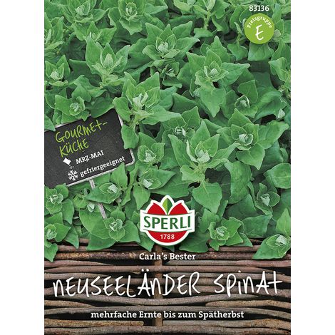 Sperli – Tétragone (épinard de Nouvelle-Zélande) Carla's Bester – Graines de légumes, 18 plantes (1/2)