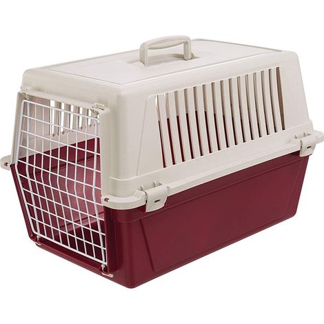 1 - Caisse De Transport Chien - Panier De Transport Chat - Plastique Recyclé Avec Porte En Fer - Pour Voyage En Voiture Ou Train - Vert - 40x60x38cm