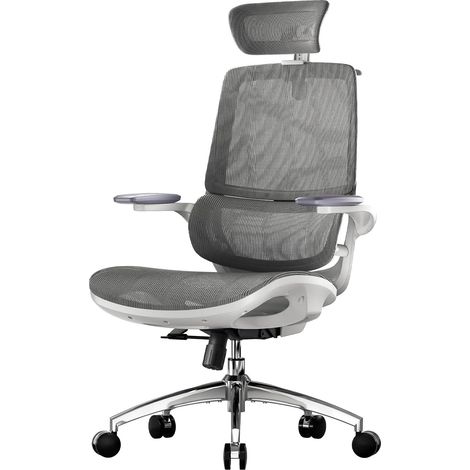 SIHOO M59AS Sedia Ufficio Ergonomica, Sedia da Scrivania con Braccioli 3D Coordinati Ribaltabili, Sedia Computer con Doppio Schienale e Supporto Lombare Dinamico Adattivo