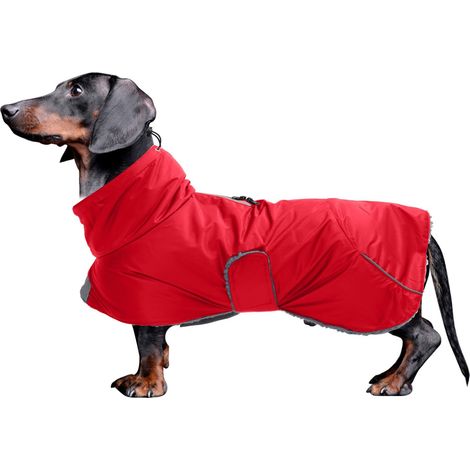 Manteau d'hiver imperméable pour teckel veste chaude rembourrée en polaire avec col montant réglable pour petit et moyen chien rouge (1/5)