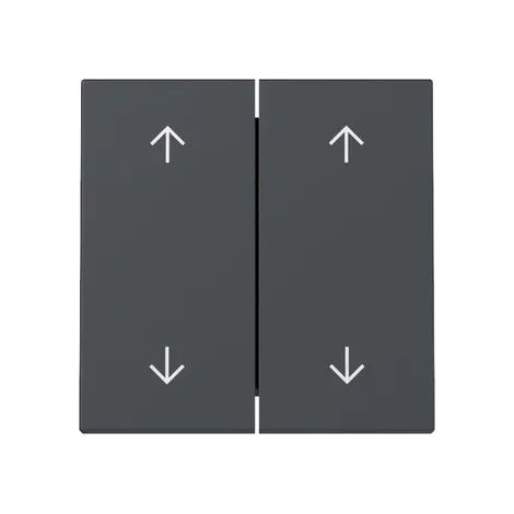 Gira Wippe 2f Pfeile System 55 Anthrazit [329728], 3297 28