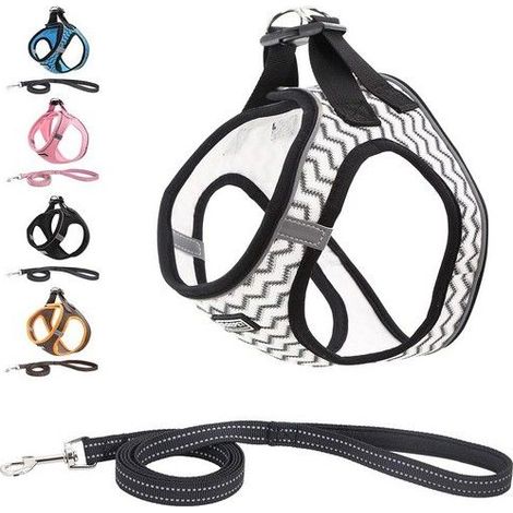Harnais Chien Réfléchissant Respirant avec Laisse, Step-in Harnais pour Chiens Chats, Gilet Rembourré Confort Mesh Doux (1/5)