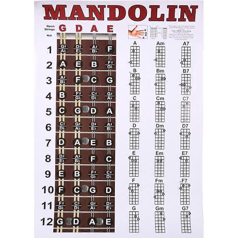 Mandolinen-Poster-Tabelle, Akkorddiagramm, Musikinstrumenten-Trainingsleitfaden