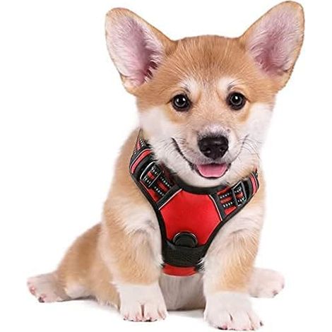 Harnais chien anti-traction rouge S, gilet réfléchissant réglable, attache devant, pour Bouledogue Français, Berger Australien, randonnée, voiture – DELKEVIC (1/5)