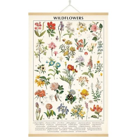 Vintage-Poster mit Wildblumen, botanischer Kunstdruck, farbenfroh