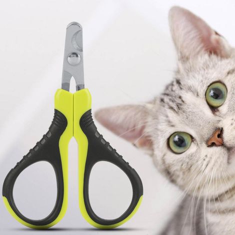 Coupe-ongles professionnel pour chats, chiots et petits animaux (lapins, oiseaux). (1/5)
