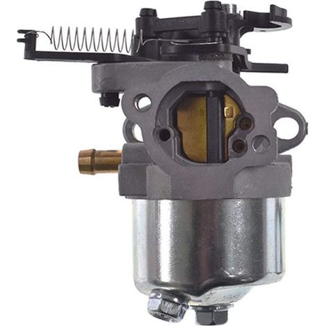 Adecuado para carburadores Briggs & Stratton 591852, 590834, 793493 y 793463. (1/5)