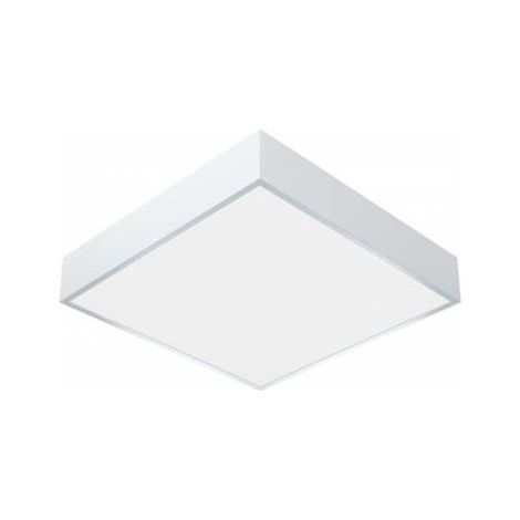 Plafoniera a LED Gamma Q Basic 300, 14W, 4000K, 1500lm, IP54, bianco opale. (1/4)
