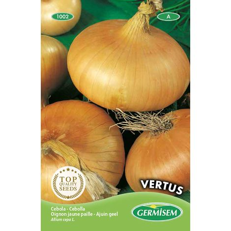 graines Oignon jaune paille VERTUS
