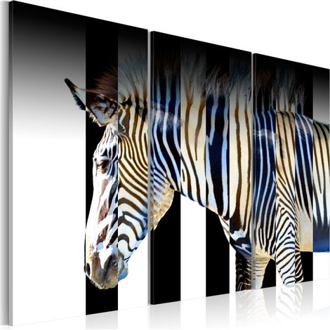 Tableau Imprimé "Rayures" 60 x 90 cm (1/2)