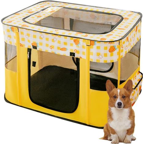 Hamac pour animaux de compagnie, lit à baldaquin pour chaton, cadre d'escalade double couche, accessoires pour animaux de compagnie (1/4)