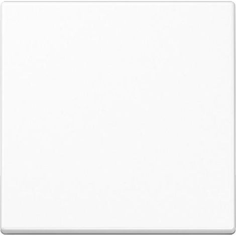 Jung Wippe 1fach, Thermoplast, Serie A, alpinweiß A590BFWW (1/2)