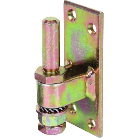 GAH-ALBERTS 311131 Cardine da avvitare, Acciaio, 13 mm/100 x 40 mm