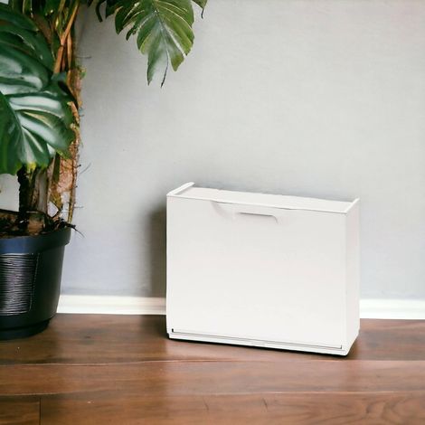 Dmora Estante de zapatos con 1 puerta con sabor en polipropileno, gabinete modular interno o externo, 100% Made in Italy, 51x18h40 cm, color blanco, con embalaje reforzado (1/5)