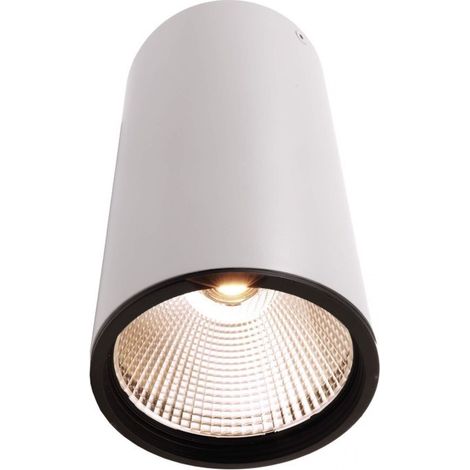 Plafonnier Led haute puissance  blanc 3000K - Deko Light - Luna 40 (1/3)