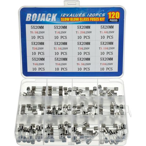 12 Werte, 120-teiliges Sortiment an trägen Sicherungen 5x20mm 250V T0,5 1 1,25 1,6 2 2,5 3 3,15 4 5 6,3 10 A. Verpackt in einer transparenten Kunststoffbox.