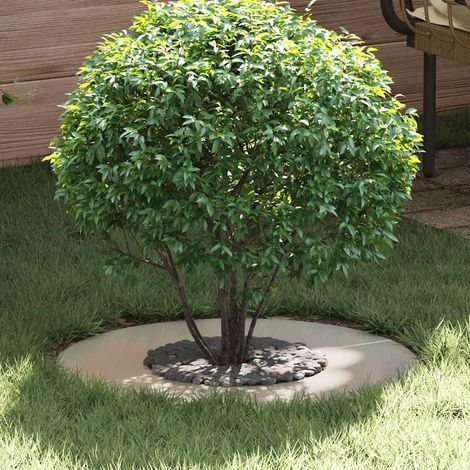 geeignet für flachen Baumring Silber Ø30 / 60 cm Edelstahl