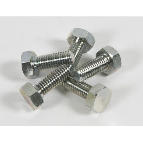 5PZ VITE FERMADISCO PER DECESPUGLIATORE 10X1,25SX MM (1/2)