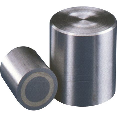 Magnete cilindrico D6xH10mm adesione liscia 2N