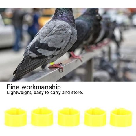 Bague d'identification Pigeon - FAFEICY - 200Pcs - 10mm - Jaune - Durable et résistant à l'usure (1/4)