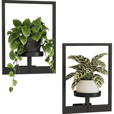 Lot de 2 Pots de Fleurs Muraux – Support de Plantes Suspendu pour Décoration Murale, Salon, Fenêtre ou Intérieur (1/5)