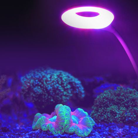 Lampe de croissance LED USB 3W pour plantes, réglable, pour aquarium, blanche (1/5)