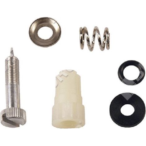 Kit Vite regolazione per carburatori BRIGGS & STRATTON 395508 COMPATIBILE - 006666