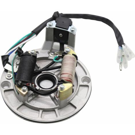 Magneto Stator Per 49Cc 50Cc 70Cc 90Cc 110Cc 125Cc Kick Start Dirt Bike Motore Orizzontale, Nero (1/5)