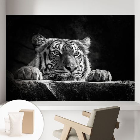 Papier peint intissé décoratif avec motifs pour salon et chambre a motif - Colle incluse gratuite Regard prédateur 104x70 cm (1/5)