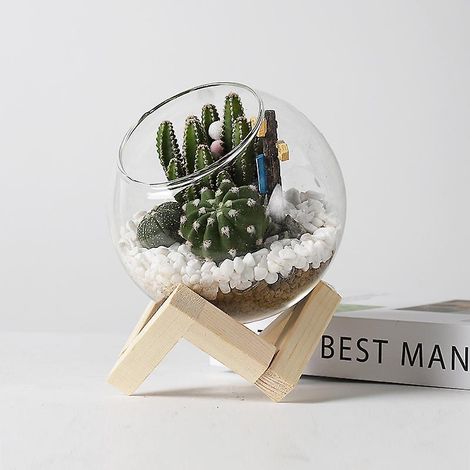 1 Pices De Plantes Succulentes Artificielles En Pot En Verre, Artificiels Succulents Vertes - Mini Plantes Artificielles - Idales Pour Le Salon, L (1/4)