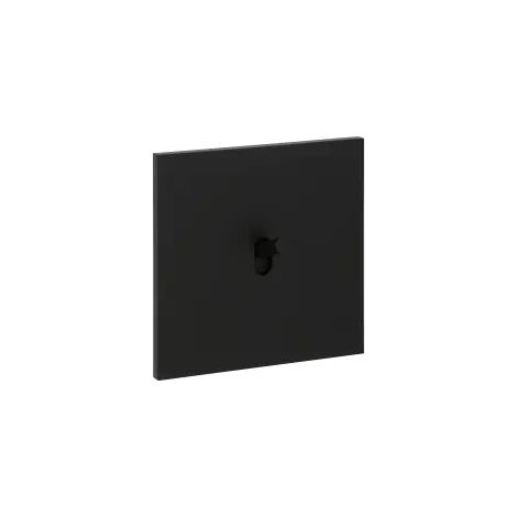 Va-et-vient 10A noir mat Art d'Arnould 67801 (1/3)