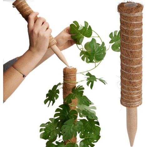 Accessorio per coltura progarden 30 cm supporto pianta cocco (1/3)