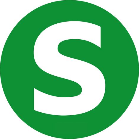 Contrassegno adesivo - S - Veicolo ecologico e sicuro (1/4)