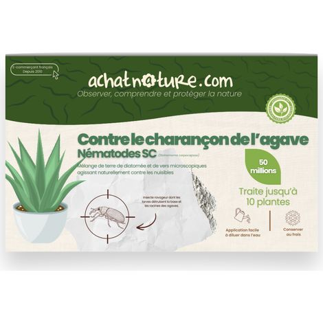 Nématodes SC contre charançon de l'agave - 50 millions - 10 plantes