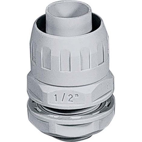 Raccordo Stagno Scatola Guaina Mm 25 Pz 2 (1/4)