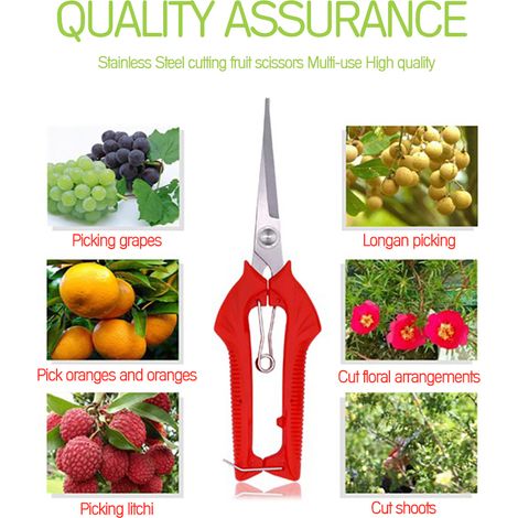 Sécateur de jardin manuel ergonomique - Lames acier inoxydable - Manche antidérapant - Sécurité loquet (1/5)