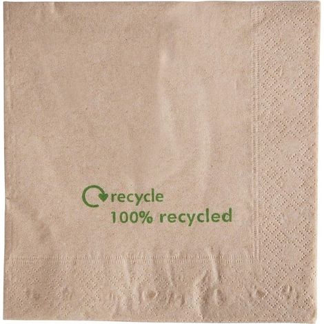 Serviettes double épaisseur en papier recyclé 330 mm - Carton de 2000 (1/2)