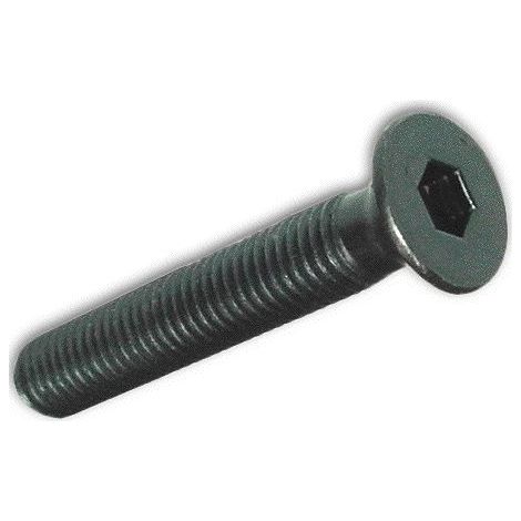 Viti per Metallo TP Esagono Incassato Acciao Brunito 6x20 mm conf. 200 pz (1/2)
