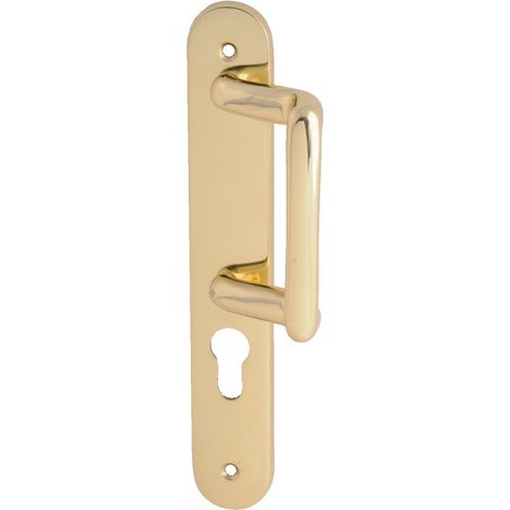 Heracles – Poignée de porte d'entrée à cylindre laiton poli – Entraxe 195 mm – Compatible avec ensembles MORGAN – Plaque arrondie 234x38 mm (1/4)